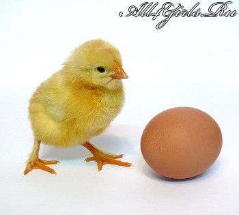 гадание на яйце