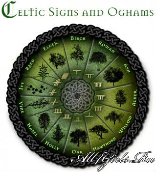 Друиды – верховная каста жрецов племени кельтов
