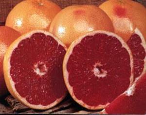 Грейпфрут — фрукт №1 при похудении